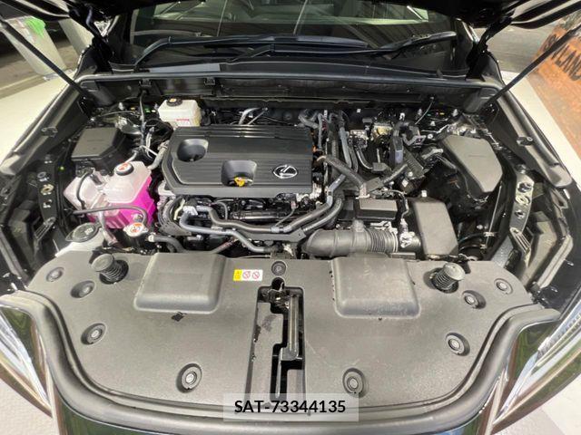 Lexus NX 2024-09 6672289-17