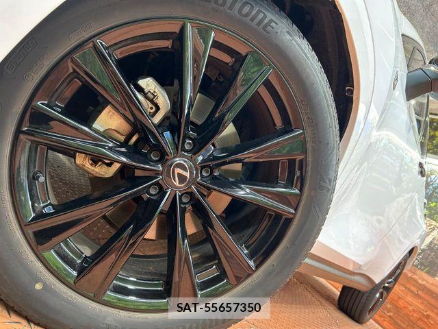 Lexus NX 2023-07 6676699-12