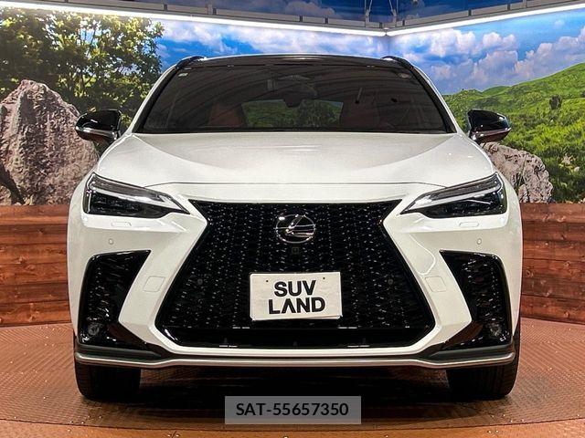 Lexus NX 2023-07 6676699-13