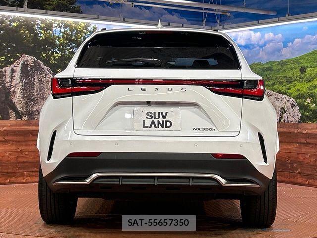 Lexus NX 2023-07 6676699-14