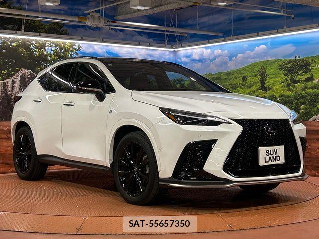 Lexus NX 2023-07 6676699-15