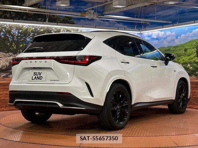Lexus NX 2023-07 6676699-16