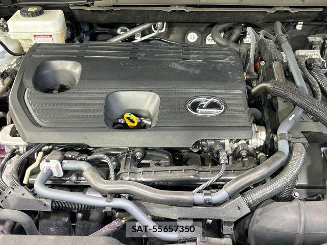 Lexus NX 2023-07 6676699-17