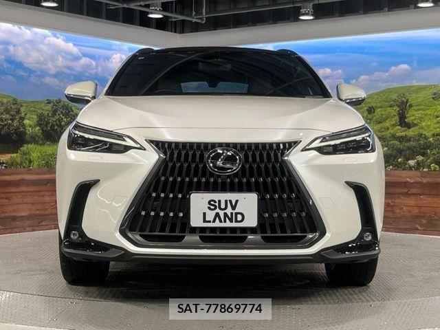 Lexus NX 2023-07 6676701-13