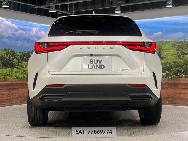 Lexus NX 2023-07 6676701-14