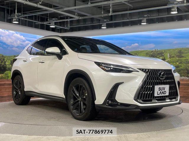Lexus NX 2023-07 6676701-15