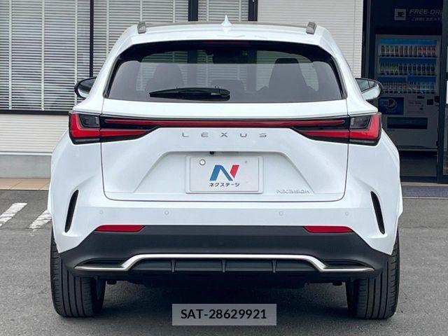 Lexus NX 2024-11 6716539-15
