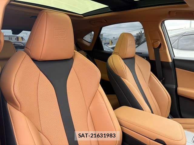 Lexus NX 2025-01 6716538-5