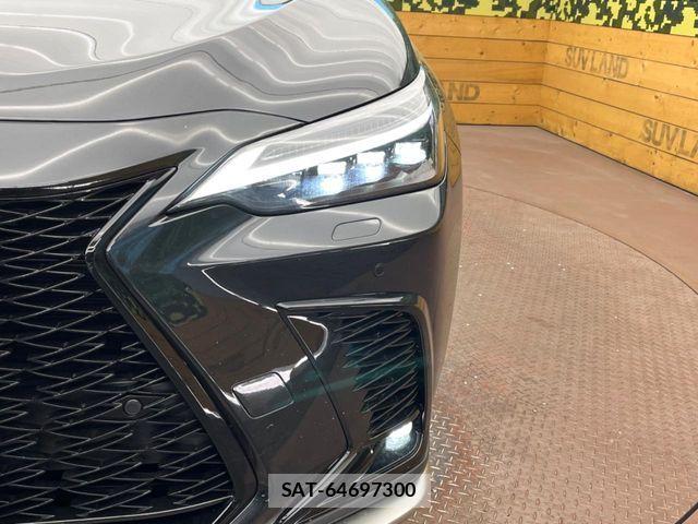 Lexus NX 2025-10 6815726-11