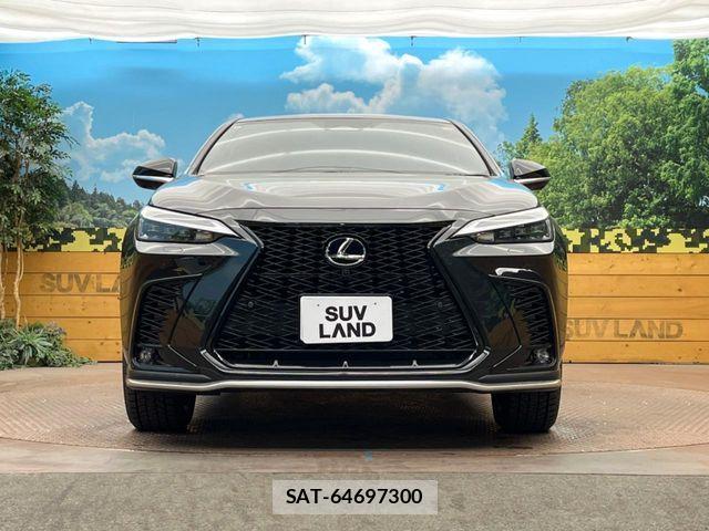 Lexus NX 2025-10 6815726-12