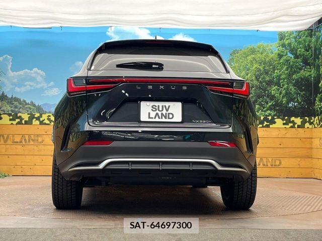 Lexus NX 2025-10 6815726-13