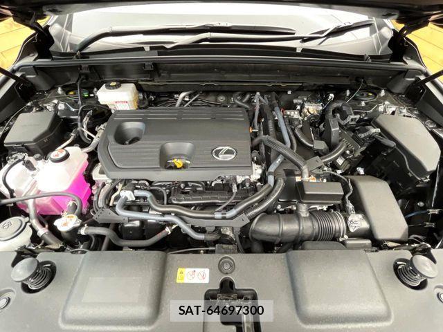 Lexus NX 2025-10 6815726-17