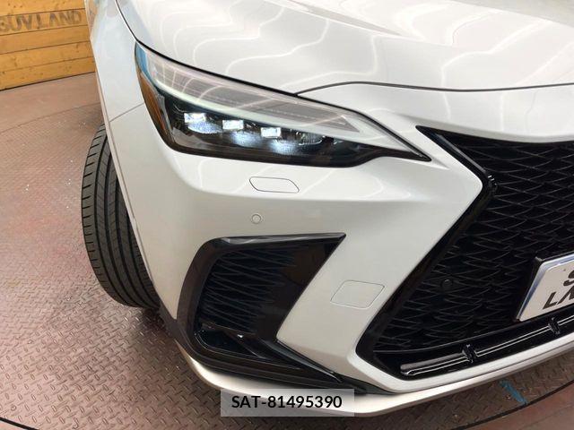 Lexus NX 2024-08 6815729-11