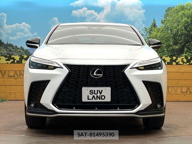 Lexus NX 2024-08 6815729-13