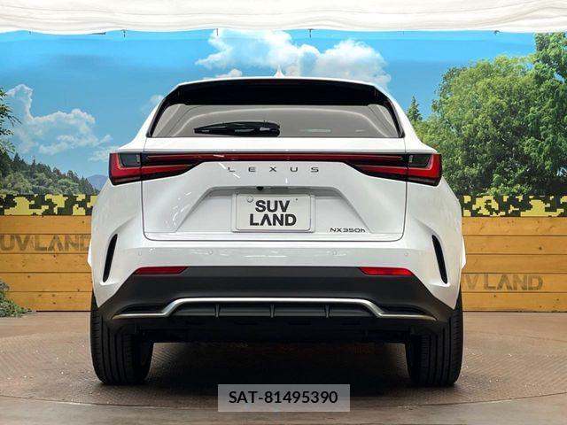 Lexus NX 2024-08 6815729-14