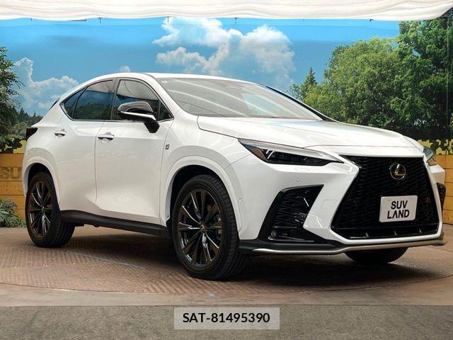 Lexus NX 2024-08 6815729-15