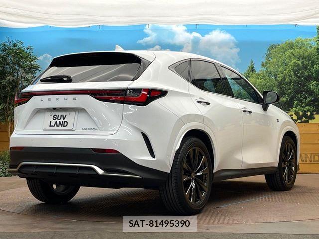 Lexus NX 2024-08 6815729-16