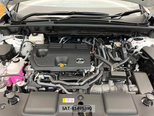 Lexus NX 2024-08 6815729-17