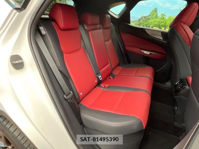 Lexus NX 2024-08 6815729-8