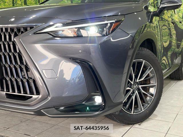 Lexus NX 2023-10 6907801-11