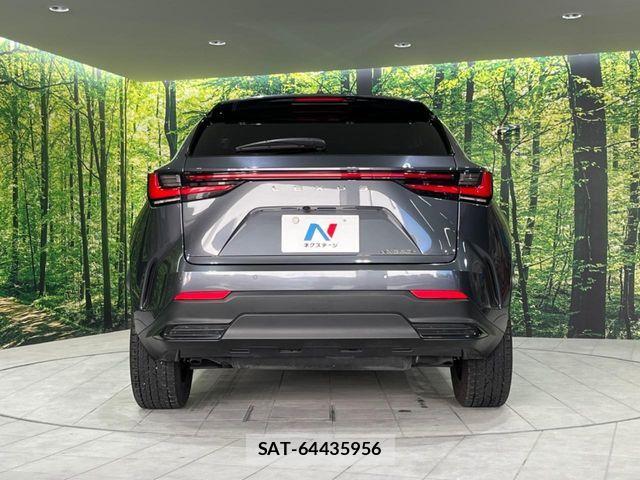 Lexus NX 2023-10 6907801-14