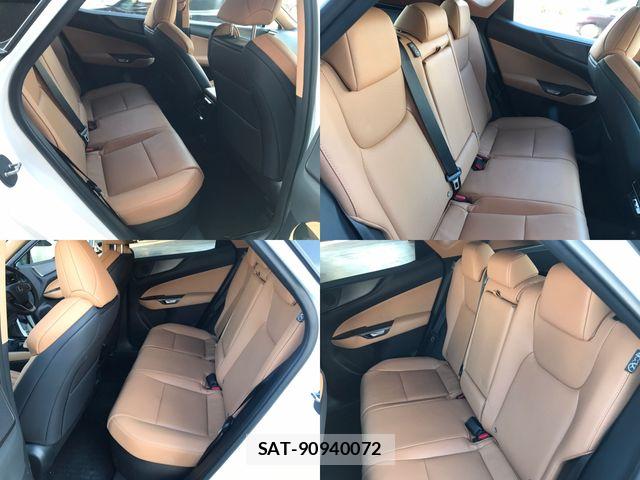 Lexus NX 2025-03 6907784-11