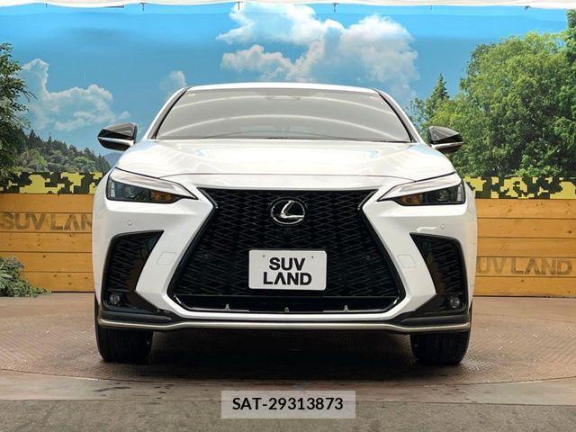 Lexus NX 2023-10 6907797-13