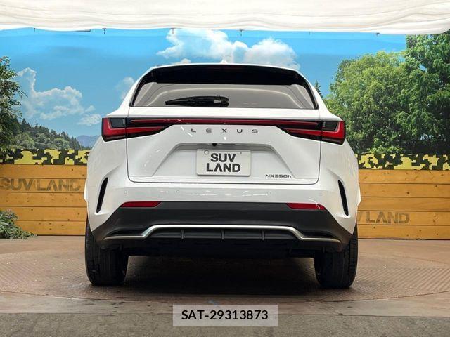 Lexus NX 2023-10 6907797-14