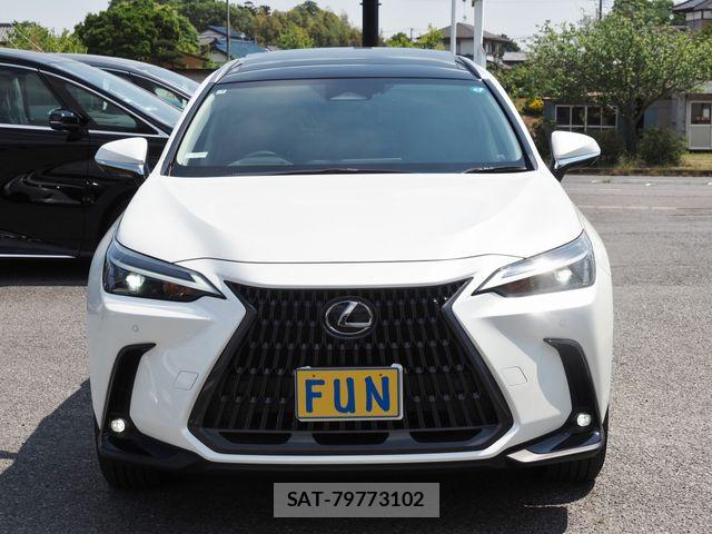 Lexus NX 2025-02 6907800-1