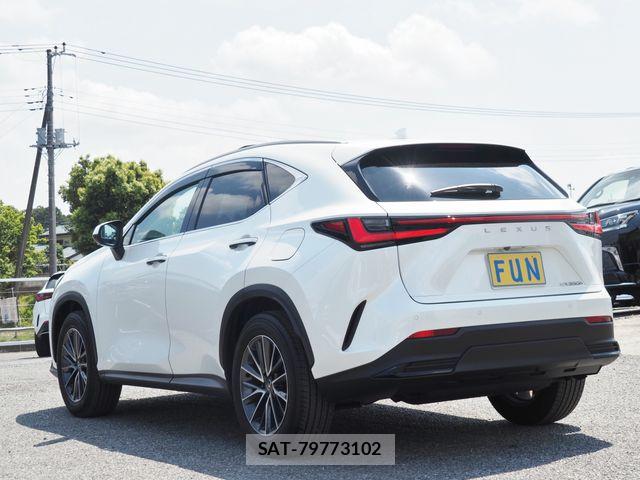 Lexus NX 2025-02 6907800-5