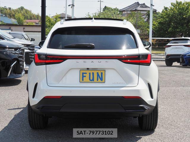 Lexus NX 2025-02 6907800-6