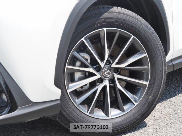 Lexus NX 2025-02 6907800-7