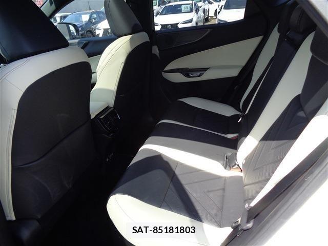 Lexus NX 2023-03 6995160-11