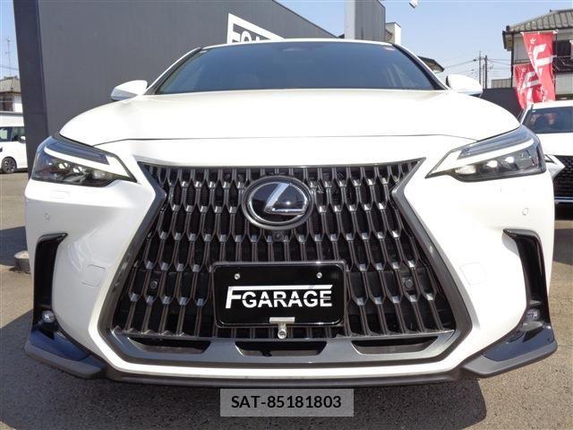 Lexus NX 2023-03 6995160-1