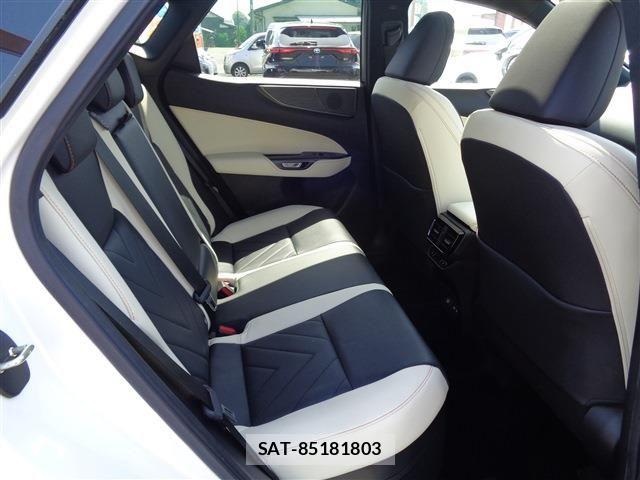 Lexus NX 2023-03 6995160-20