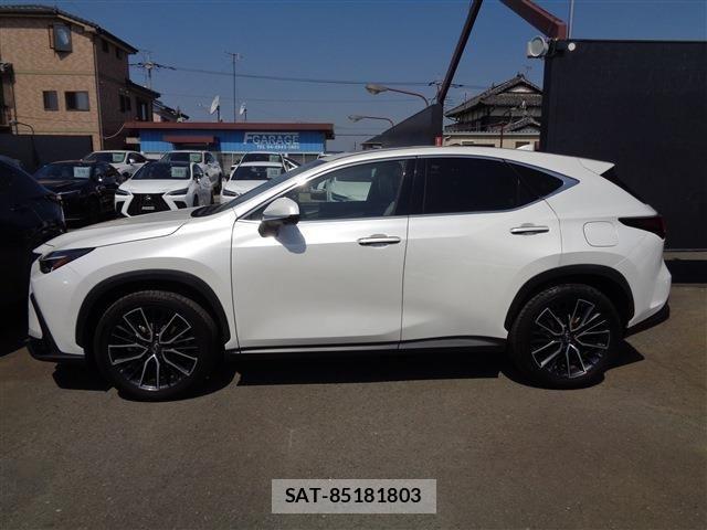 Lexus NX 2023-03 6995160-4