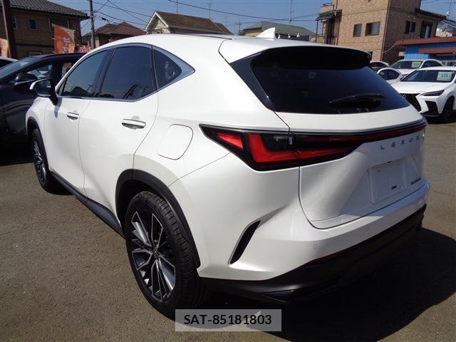 Lexus NX 2023-03 6995160-5