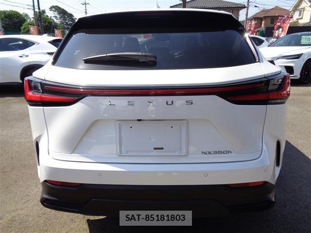 Lexus NX 2023-03 6995160-6