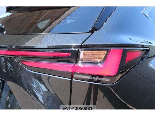 Lexus NX 2023-04 6995136-14