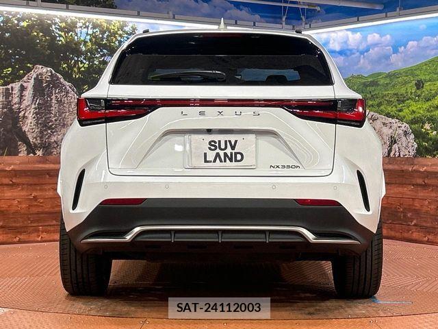 Lexus NX 2025-04 7020784-14