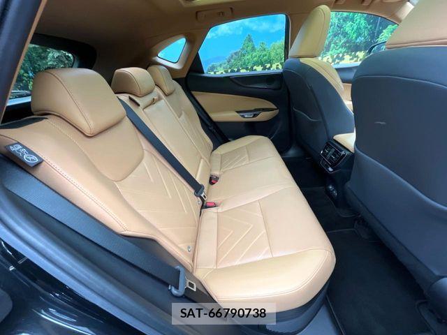 Lexus NX 2023-12 7020785-9