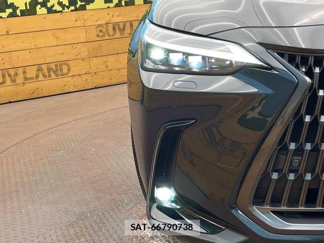 Lexus NX 2023-12 7020785-12