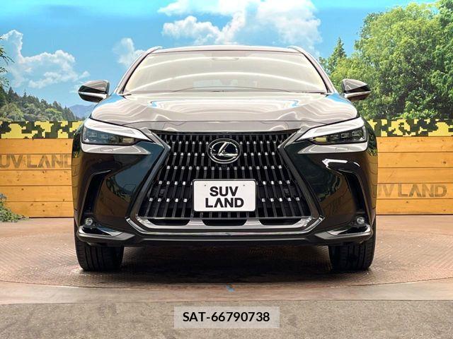 Lexus NX 2023-12 7020785-14