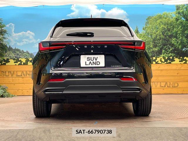 Lexus NX 2023-12 7020785-15