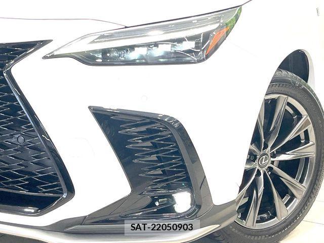 Lexus NX 2023-06 7059297-11