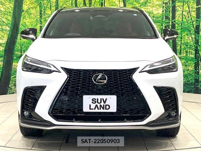 Lexus NX 2023-06 7059297-13