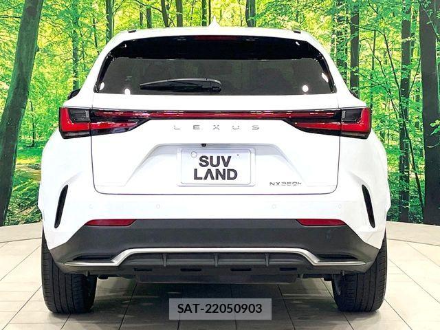 Lexus NX 2023-06 7059297-14
