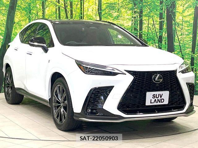 Lexus NX 2023-06 7059297-15