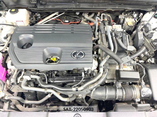 Lexus NX 2023-06 7059297-17