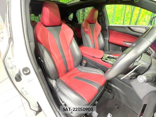 Lexus NX 2023-06 7059297-7
